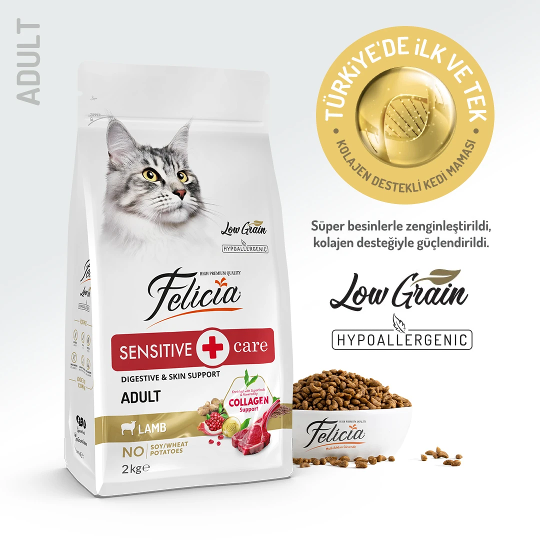 [FLC-024] Felicia Etli Yetişkin Kedi Maması (2 Kg)