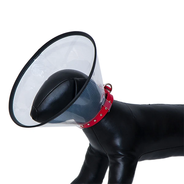 [520-355321] Eastland Dayanıklı Kedi ve Köpek Elizabeth Yakalığı (37x21 Cm)