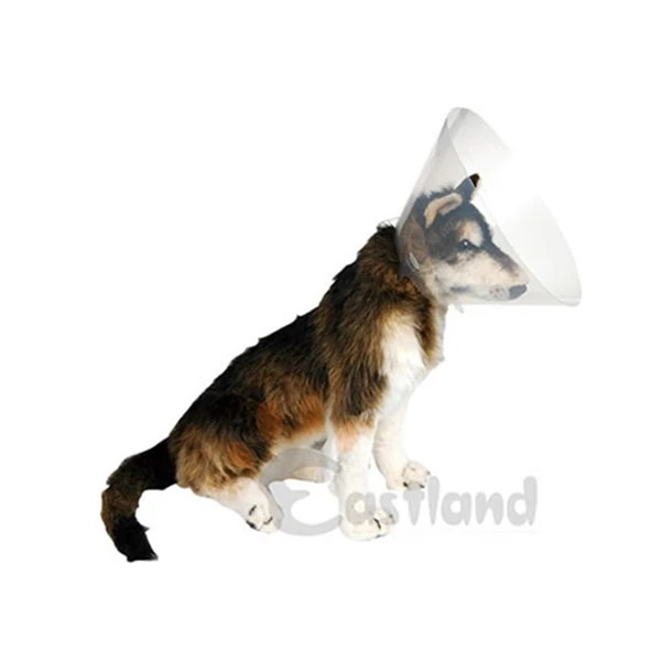 [520-355019] Eastland Elizabeth Köpek Yakalık