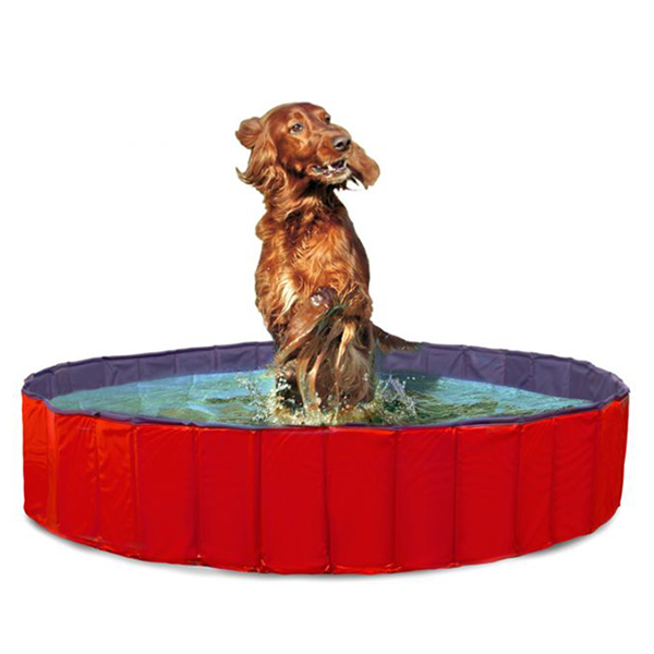 [555-31887] Karlie Köpek Havuzu (120 Cm)
