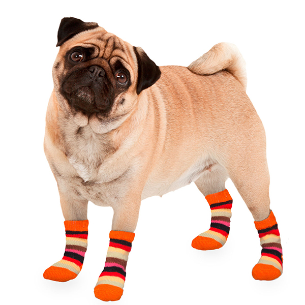 [555-514611] Karlie Köpek Ayakkabısı Xsmall (Small)