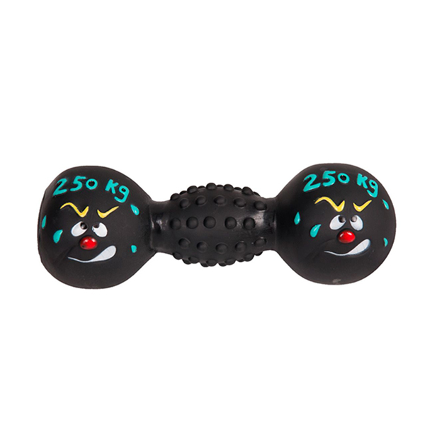 [555-45282] Karlie Vinil Dumbell Köpek Oyuncağı
