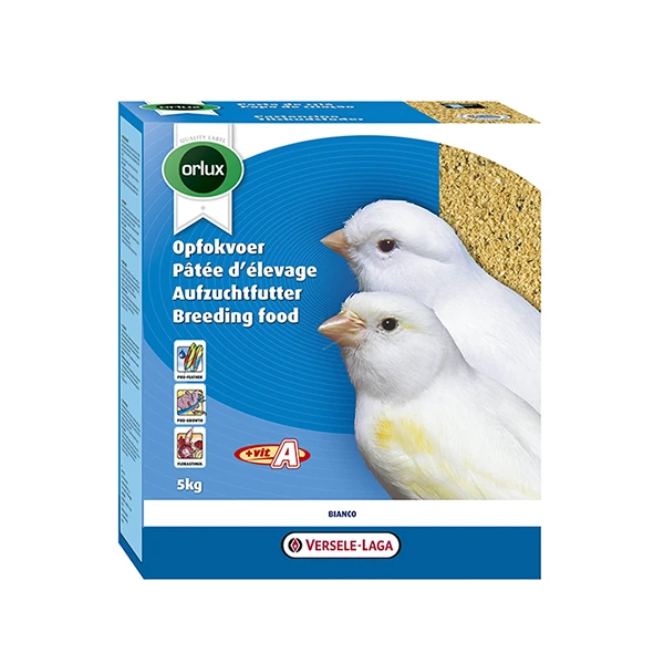 [808-424003H] Versele Laga Bianco Beyaz Kanarya için Kuş Maması