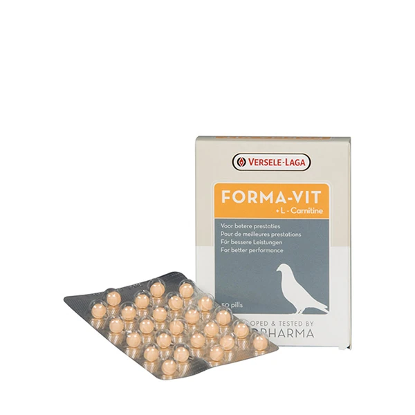 [812-460140H] Versele Laga Güvercin Forma Vitamin