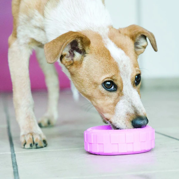 [390-KPT21E] Kong Lastik Şeklinde Kauçuk Yavru Köpek Oyuncağı (9 Cm, Small)