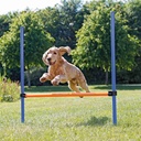 Trixie Köpek Agility Eğitim Manisi