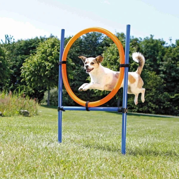 [3208] Trixie Köpek Agility Eğitim Çemberi
