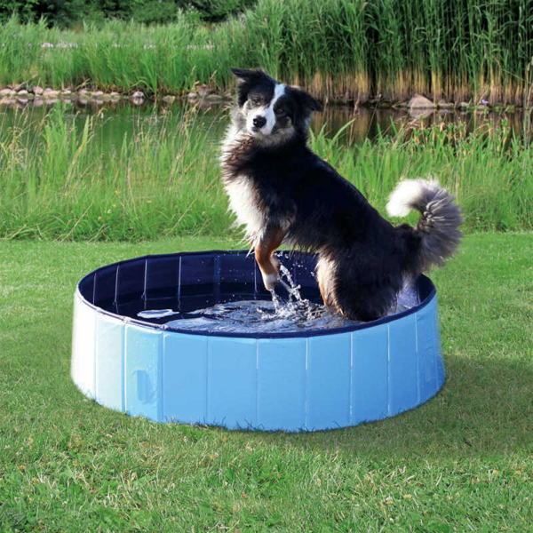 [39482] Trixie Dog Pool Köpek Havuzu (120x30 Cm)