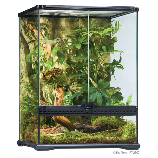 [702-PT2607] Exo Terra Sürüngen Teraryum (45x45x60 Cm)
