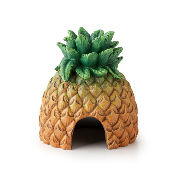 [702-PT3160] Exo Terra Sürüngen Ex Pineapple Saklanma Alanı