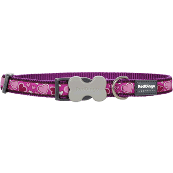 [DC-BZ-PU-12] Red Dingo Breezy Love Desenli Köpek Boyun Tasması (Mor, 12 Mm)