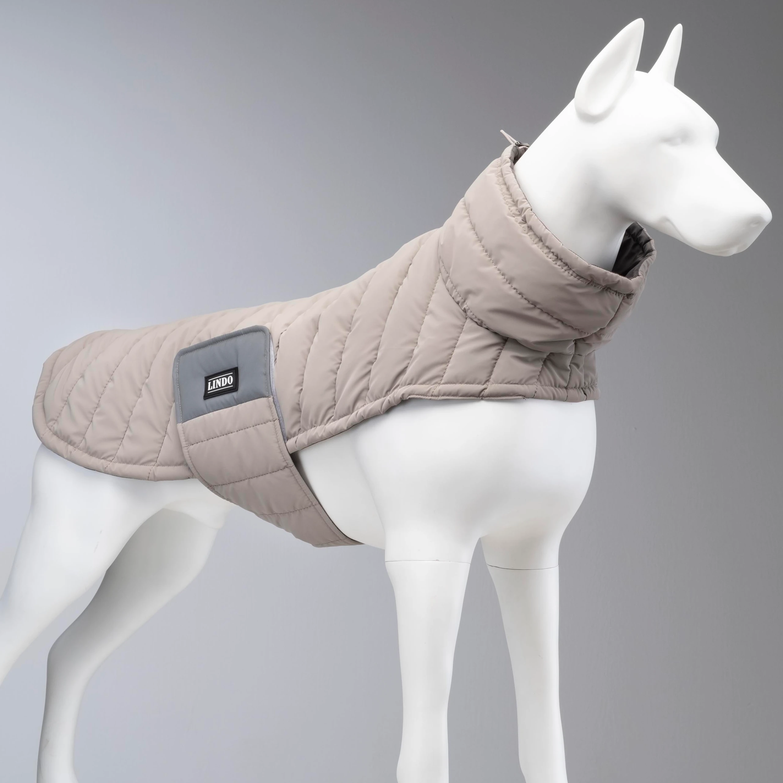 [AIRSTN01] Lindo Dogs Air Puff Stone Köpek Montu (Beden 1)