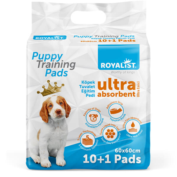 [RL-03213] Royalist Yapışkan Bantlı Köpek Tuvalet Eğitim Pedi 11 Adet
