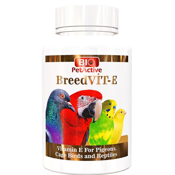 [8698931091284] Pet Active Breed Vit-E Güvercin Vitamini