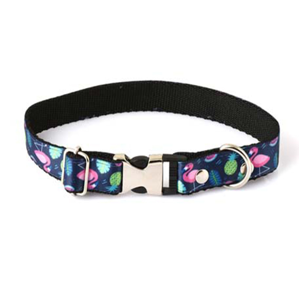 [8685334304882] Petzz Flamingo Desenli Köpek Boyun Tasması