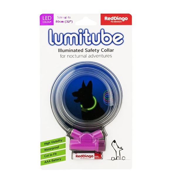 [LT-ZZ-PU-SM] Red Dingo Lumitube Işıklı Köpek Boyun Tasması (Mor, 50 Cm)