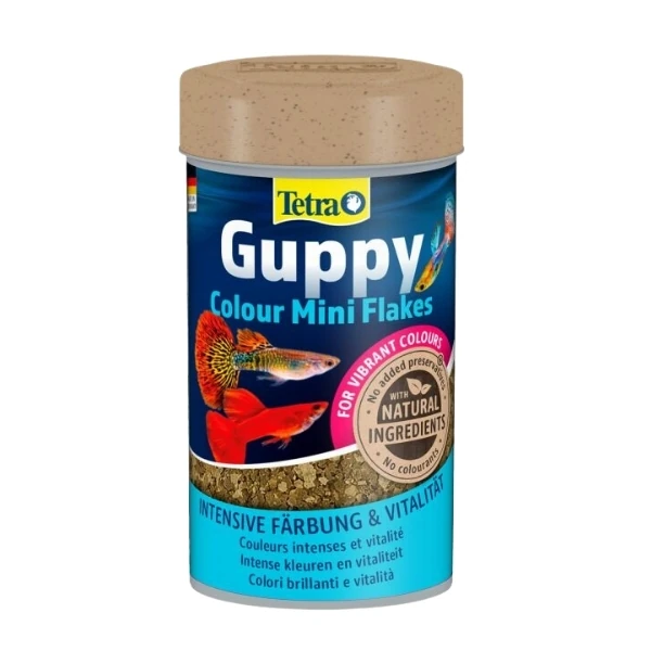 [400-710861] Tetra Guppy Colour Mini Flakes Lepistes Pul Balık Yemi