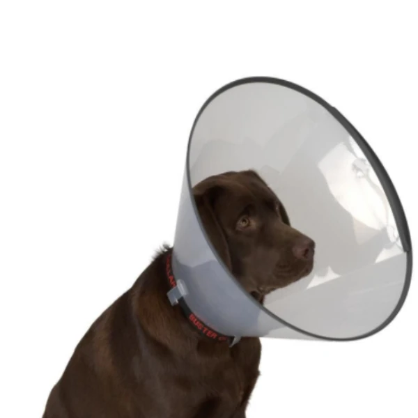 [ECOLLARSTANT] Doggie Comfort Köpek Elizabeth Yakalığı Standı