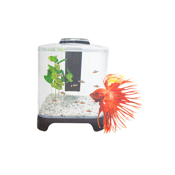 [200-BT111] Dophin Mini Filtreli ve Işıklı Küçük Akvaryum