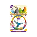 Euro Bird Boncuklu Büyük Halka Kuş Oyuncağı Renkli