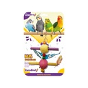 Euro Bird Dal Salıncak Kuş Oyuncağı Renkli