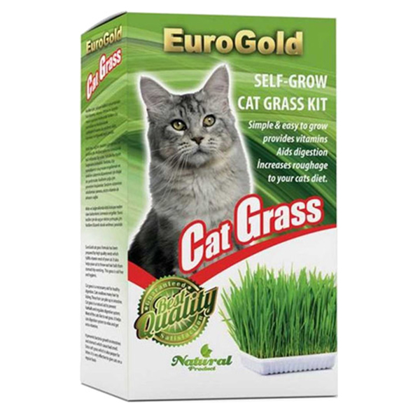 [451-4001] Euro Gold Cat Grass Kedi Çimi