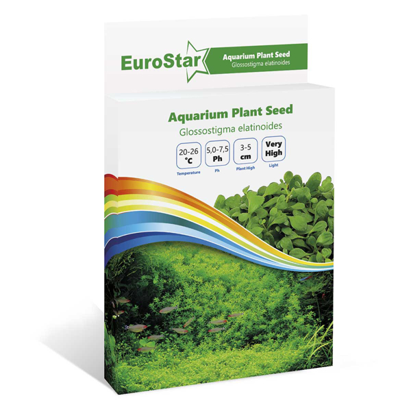 [452-1501] Euro Star Glossostigma Elatinoides Akvaryum Bitki Tohumu 3-5 Cm