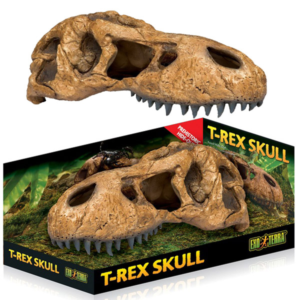 [702-PT2859] Exo Terra Sürüngen Trex Kafatası Şekilli Sürüngen Yuvası 25x14x12.70 Cm