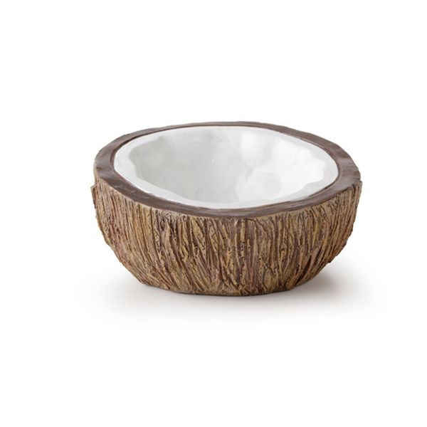 [702-PT3158] Exo Terra Water Dish Sürüngen Ex Coconut Su Kabı Kahverengi/Beyaz