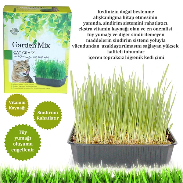 [900-080] Garden Mix Kedi Çimi