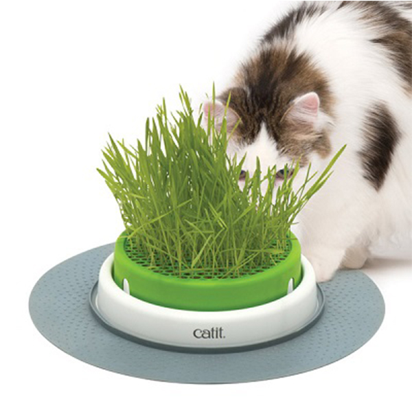 [700-43161W] Hagen Catit Senses Grass Planter Kedi Çim Seti