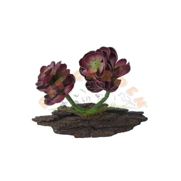 [200-72042] Pet Garden Sürüngenler için Orkide Bitki