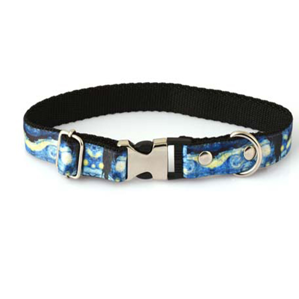 [8685334304899] Petzz Gökyüzü Desenli Köpek Boyun Tasması 2x15-25 Cm