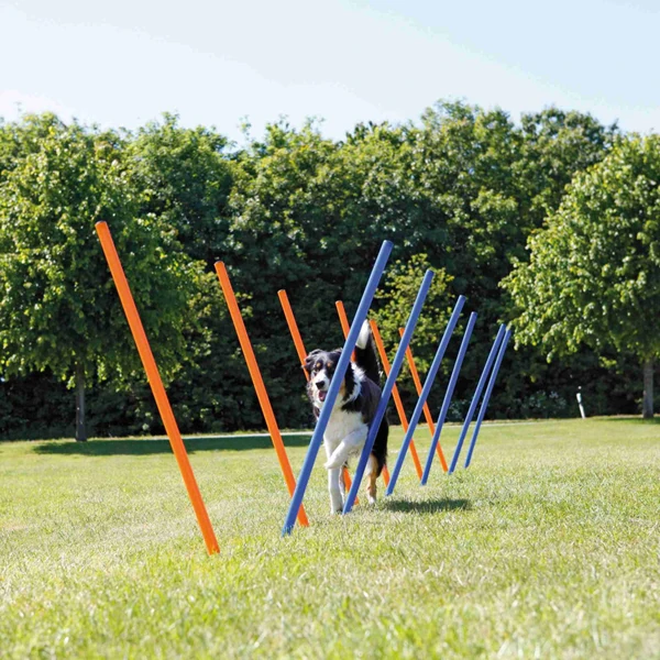 [3206] Trixie Köpek Agility Eğitim Direkleri