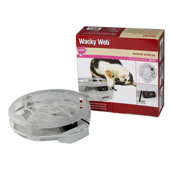 [781-WS5410] Wingpet Kedi Aktivite Oyuncağı