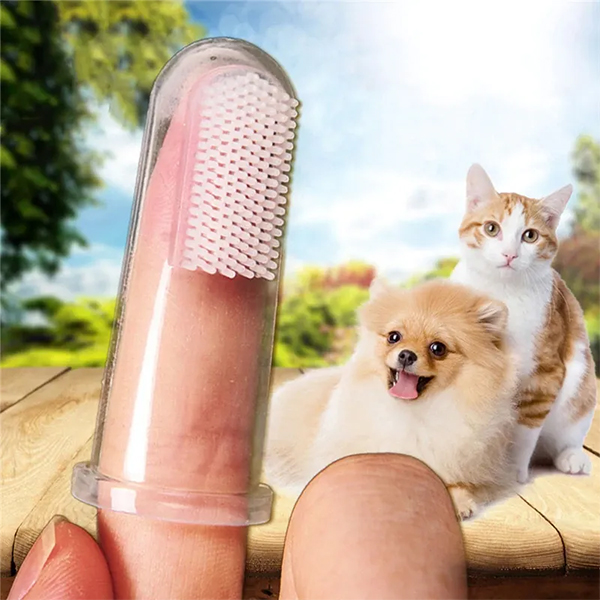 [WND102222] Wondi Dental Kedi ve Köpek Diş Temizleme Fırçası