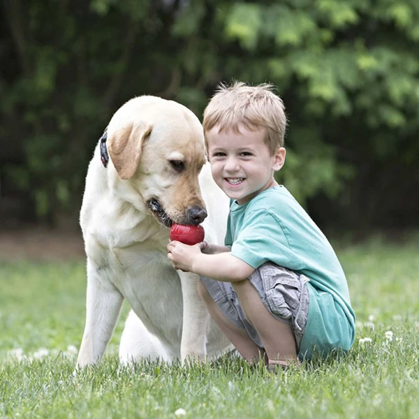Kong Classic Ödül Hazneli Köpek Oyuncağı (13 Cm, Small)