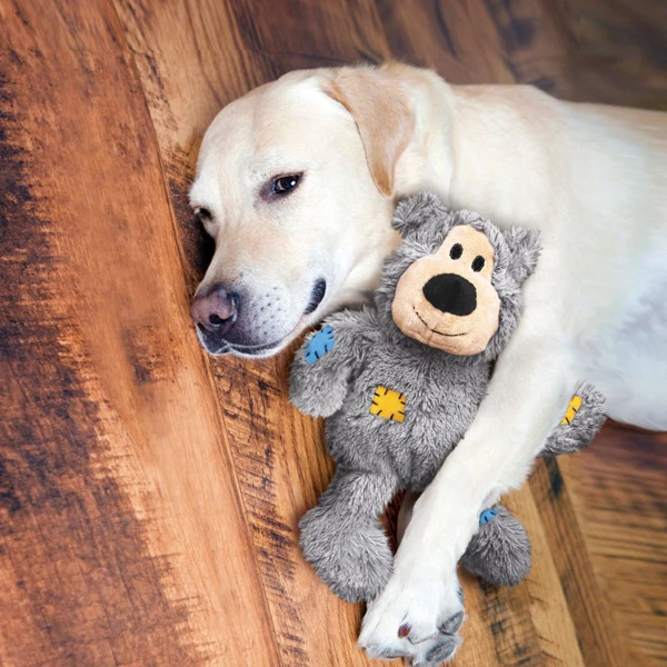 Kong Knots Ayı Peluş Köpek Oyuncağı (19 Cm, Large)