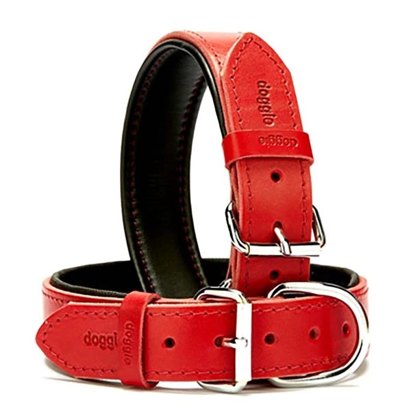 Doggie Firstclass Deri Köpek Boyun Tasması (Siyah, 3.5x52-60 Cm, Small)
