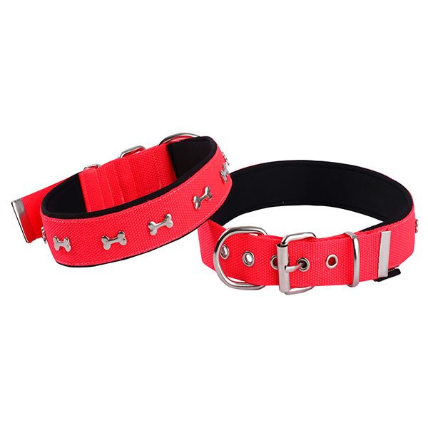 Actirex Neon Kemik Desenli Köpek Boyun Tasması Kırmızı (Pembe, 3x42-50 Cm, Small)