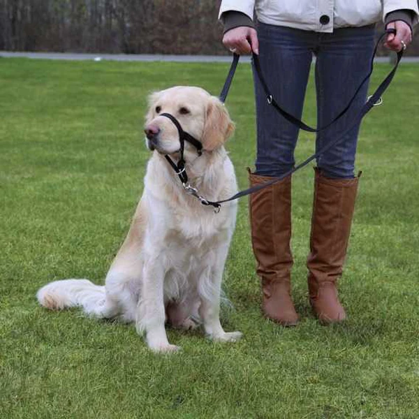 Trixie Köpek Uzman Eğitim Tasması (27 Cm, Small)