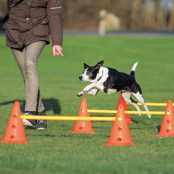 Trixie Köpek Agility Oyuncağı (30x50x100 Cm, 3 Adet)