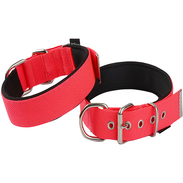 Actirex Neon Köpek Boyun Tasması Kırmızı (3x42-50 Cm, Small)