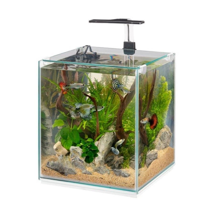 [8010690211763] Ferplast Tonga 30 Ledli Akvaryum 30x30xh46 cm - 30 L