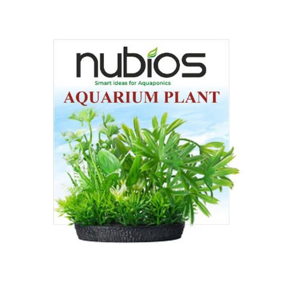 [630-Q406] Nubios Kare Tabanlı Plastik Bitki 10 Cm