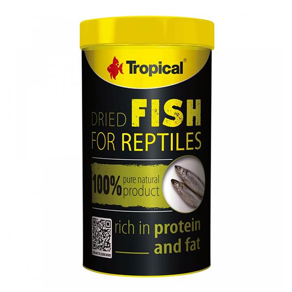 Tropical Dried Fish Kurutulmuş Balık