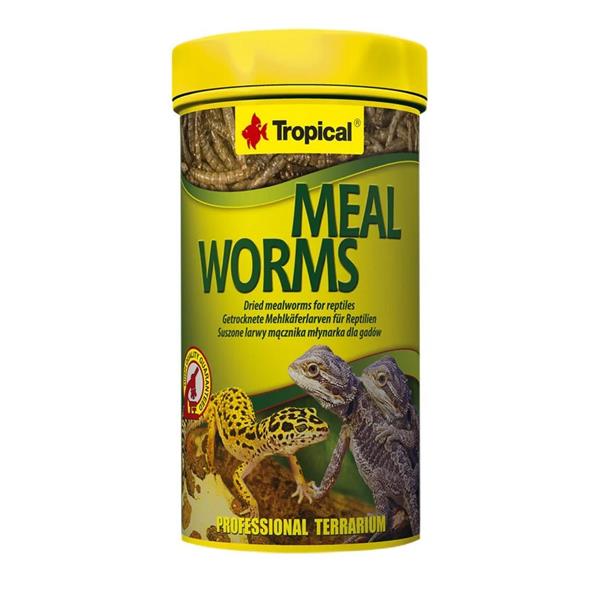 Tropical Meal Worms Kurutulmuş Un Kurdu