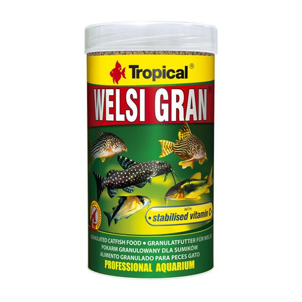 Tropical Welsi Gran Vatoz Balığı Yemi